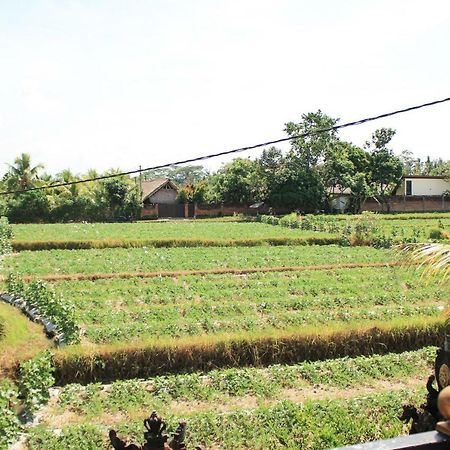 Hotel Ancut Sari Ubud Zewnętrze zdjęcie