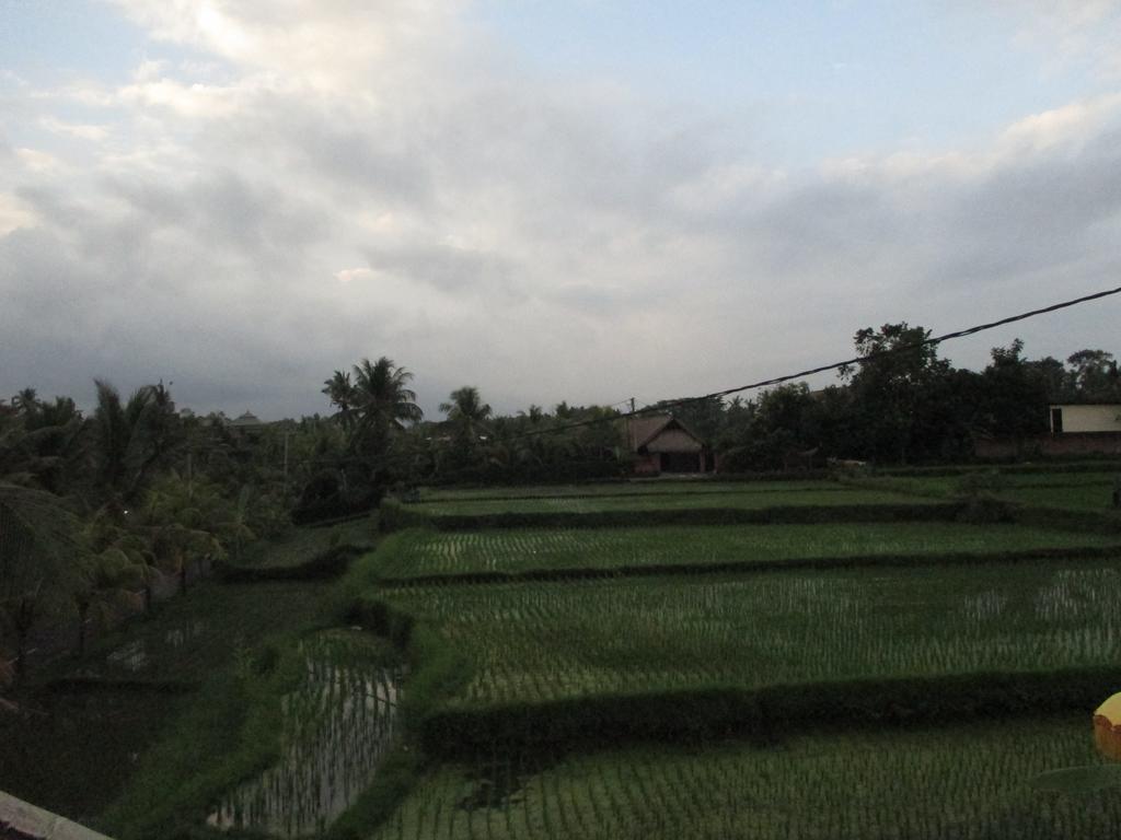 Hotel Ancut Sari Ubud Zewnętrze zdjęcie