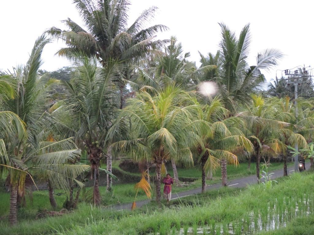 Hotel Ancut Sari Ubud Zewnętrze zdjęcie