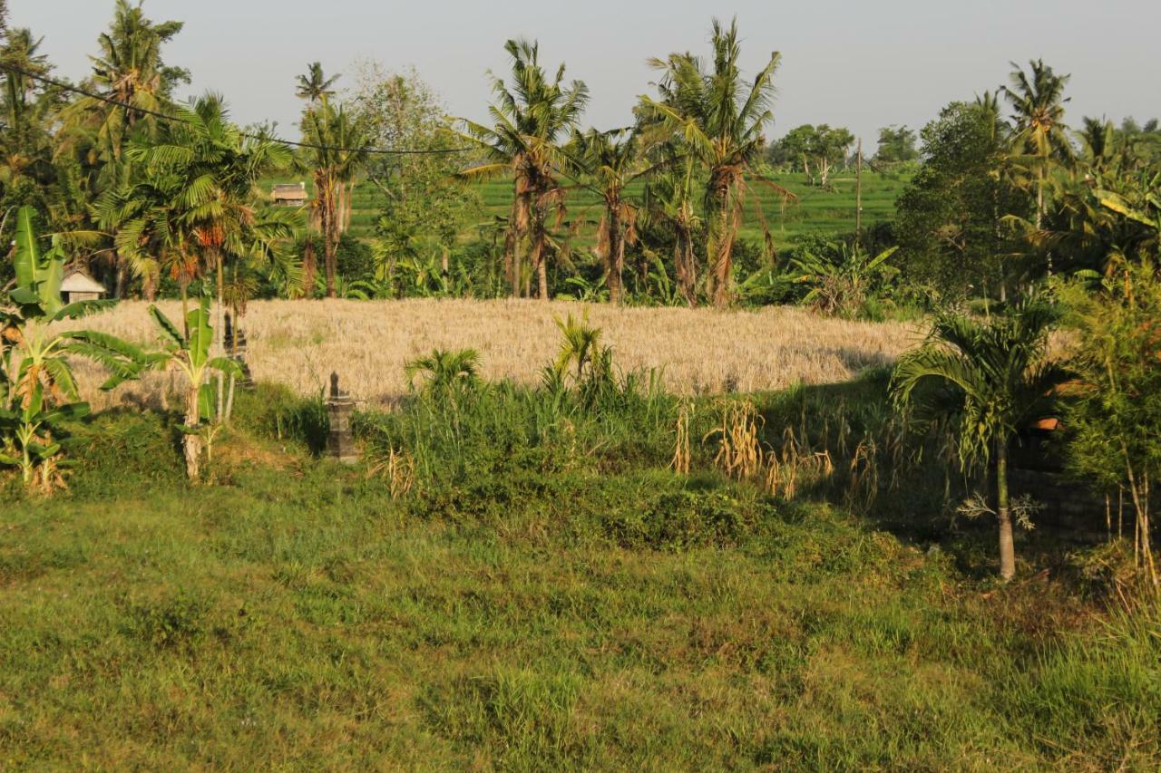 Hotel Ancut Sari Ubud Zewnętrze zdjęcie